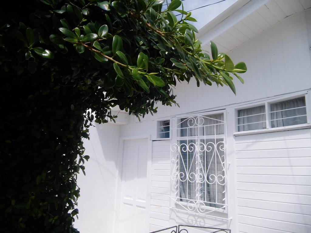 Bight View Hotel San Andrés Buitenkant foto